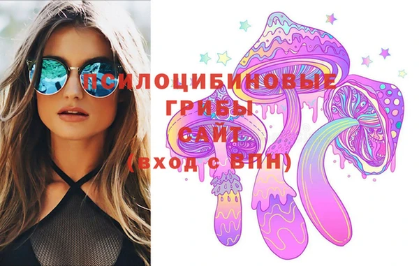 гидра Алзамай